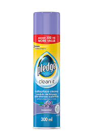 Pledge Multi Surface Potpouri 300Ml